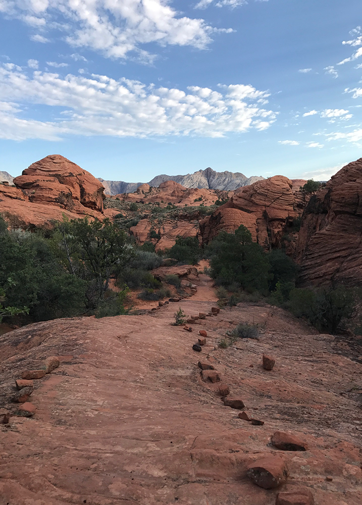 Snow Canyon Path